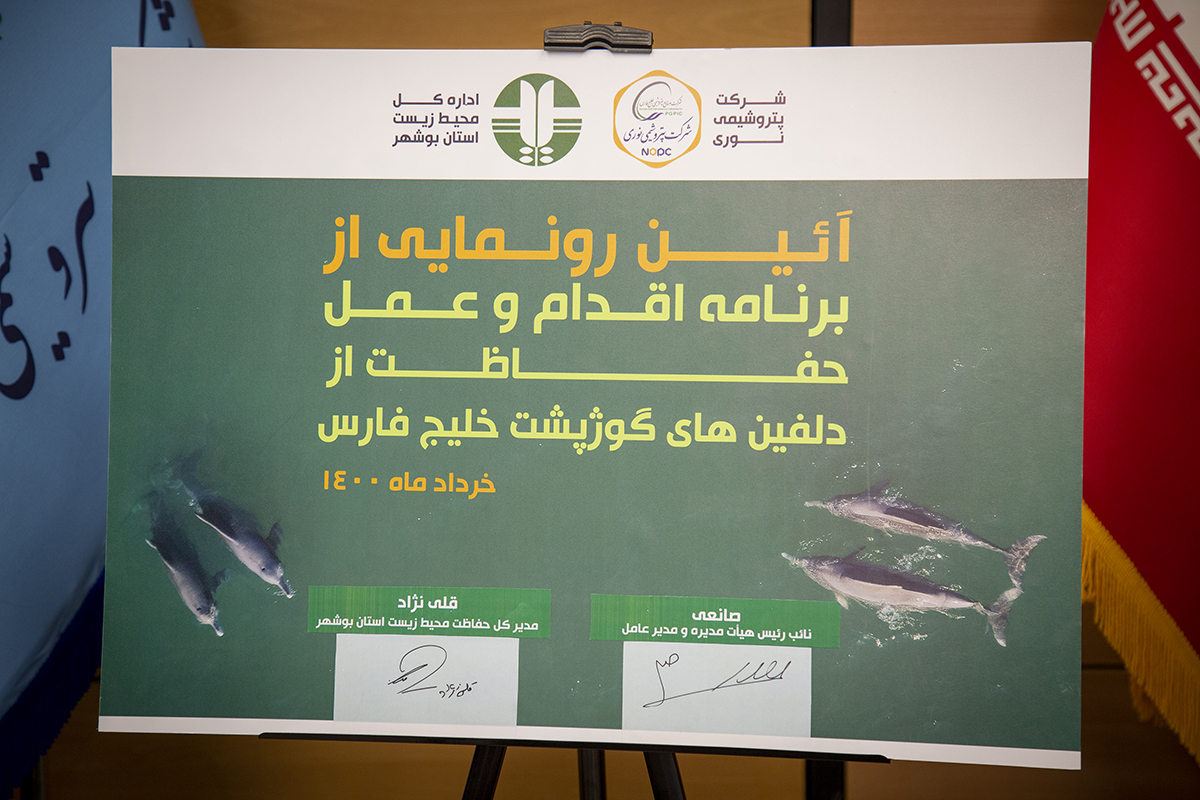 khabar eghdam o amal dolphin 4