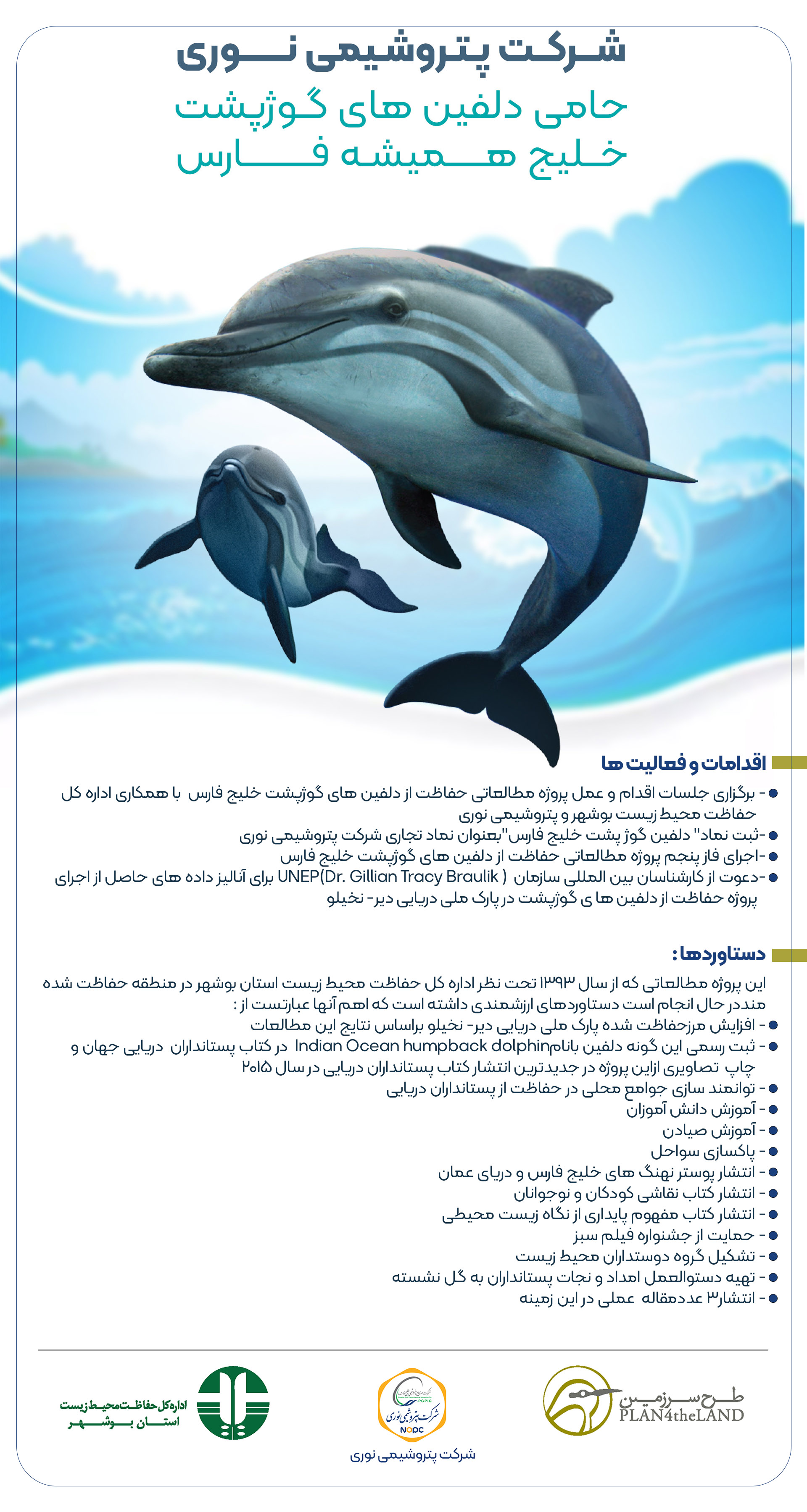 طرح صفحه دلفین