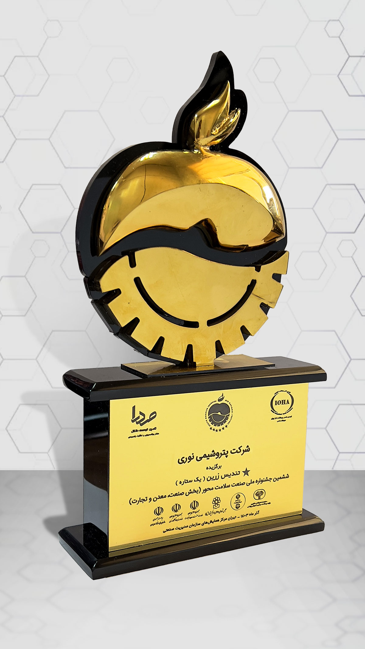 جشنواره صنعت سلامت محور 2